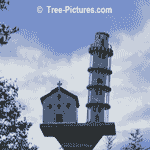 Creative Birdhouse Designs