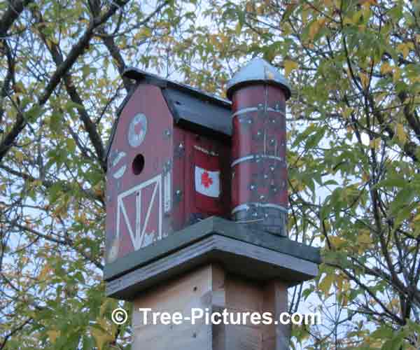 Bird Houses: Barn Birdhouse