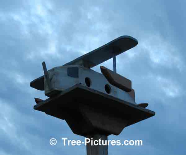 Bird Houses : Seaplane Birdhouse