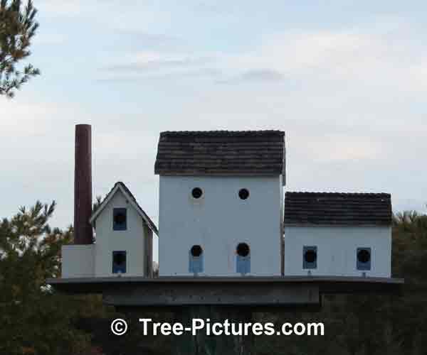 Bird Houses: Streetscape Birdhouse