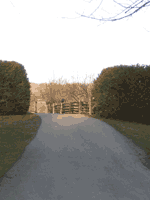 Cedar Tree Lane Picture