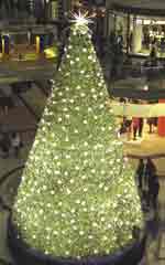 White Christmas Tree Photos