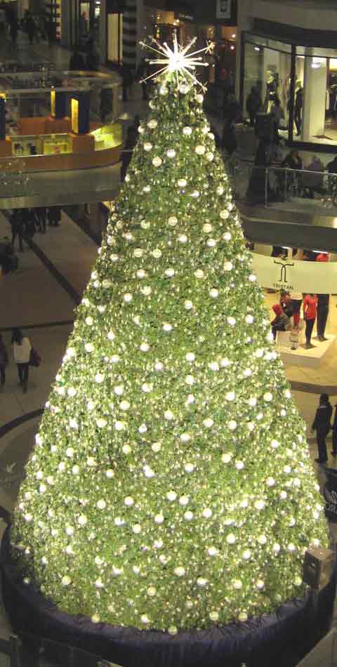 Beautiful Christmas Tree Picture