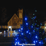 Christmas Lights