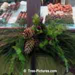 Pine Tree Christmas Decorations