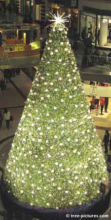 Christmas Tree Pictures, Photo of a Decorated X-mas Tree in Yellow white lights