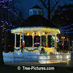 Christmas Pictures: Gazebo LED Decorations Ready for Xmas Season
