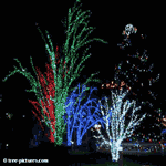 Christmas Trees: Xmas LED Blue Lights
