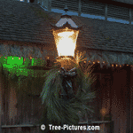 Pine Tree Pictures: Xmas Wreath made from Pine Trees Branches at Tree-Pictures.com
