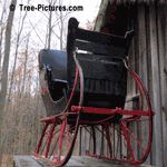 Santa's Sleigh: Christmas Photo