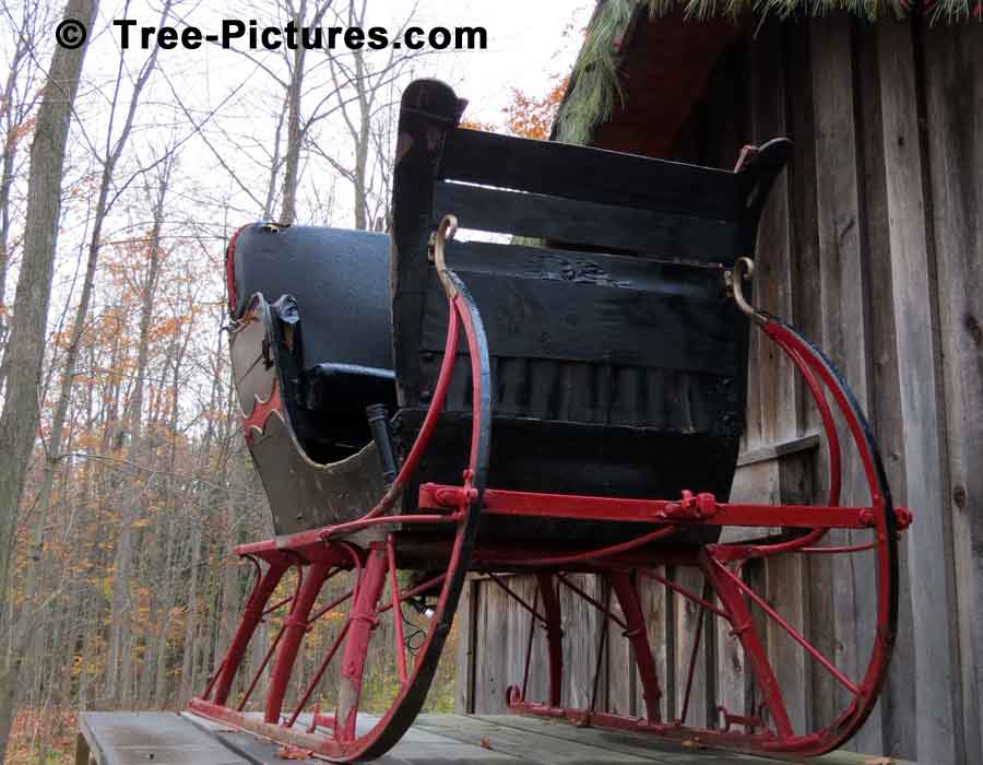 Santa's Sleigh Christmas Photo | Christmas Trees at Tree-Pictures.com