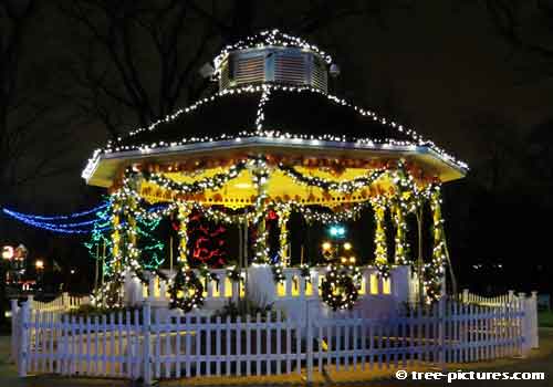 Impressive Christmas Tree Picture,  Decorated Christmas Gazebo that Impresses