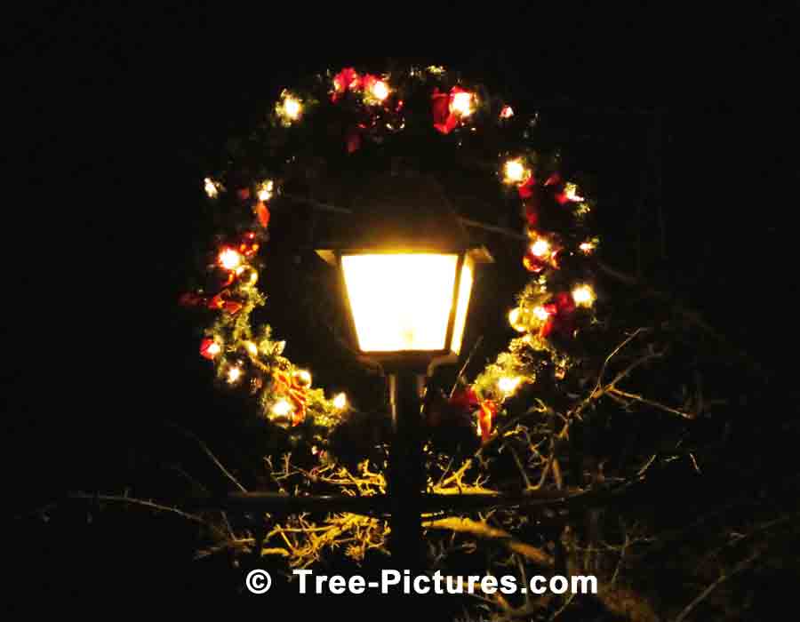 Christmas Picture: Wreath Decorated Antique Street Lantern | Xmas Trees at Tree-Pictures.com