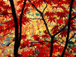 tree picture