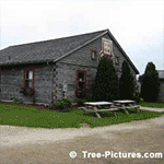 Cedar Tree Pictures: Split Cedar Wood Rails are good for Natural Landscape Fencing, Highly Weather Resistant | Cedar:Wood+Fence Tree-Pictures.com