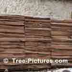 Cedar Lumber Rail Privacy Fence on Corner Property