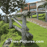  Solid Split Rail Wood Cedar fence privacy| Tree-Pictures.com
