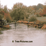Scenic Photo of Variety of Trees in Autumn Color
