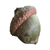 Oak Acorn: Oak Tree Nut | Tree:Oak+Acorn at Tree-Pictures.com