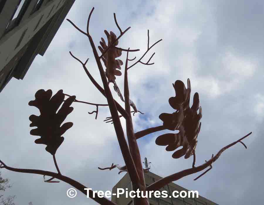 Tree Art, Oak Leaf Metal Sculpture | Trees:Oak:Art at Tree-Pictures.com