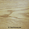 Oak Wood: Oak Tree Wood Grain | Tree:Oak+Wood at Tree-Pictures.com