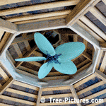 Palm Leaf Fan: Palm Fan Leaves in Tropics Gazebo