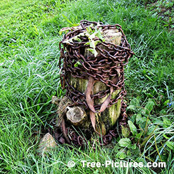 Tree Services: Old Tree Stump Storage Uses